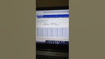 Modscan 32 bit data shows