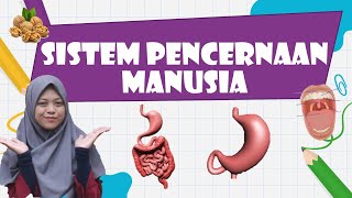 Sistem Pencernaan Manusia Kelas 8 || Belajar IPA Mudah