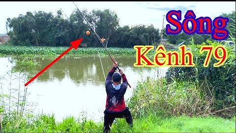 Câu Cá Tra Sông kênh 79 điểm Câu quá nhiều cá#fishing