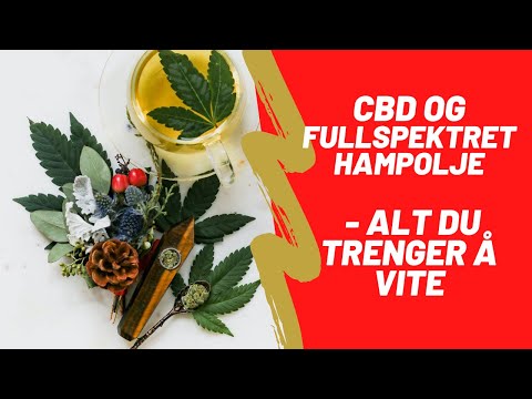 Video: Alt Du Trenger å Vite Om å Kjøpe, Vokse Og Bruke CBD I Colorado