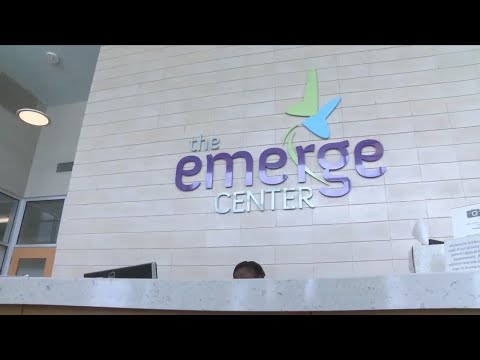 The Emerge School for Autism preview