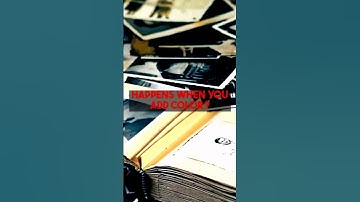 Bringing History Alive The Reality of Colorizing Old Photos