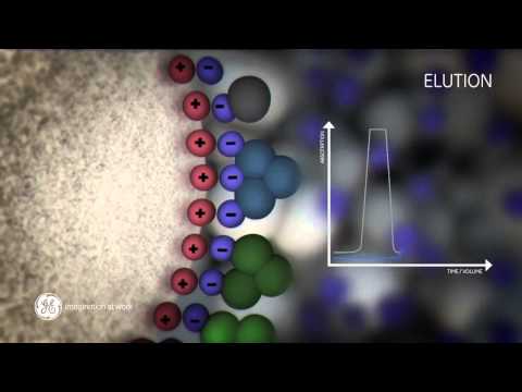 فيديو: في كروماتوغرافيا التبادل الأيوني؟