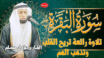 تلاوة رائعة تريح القلب والروح  |  سورة البقرة القارئ عادل مسلم (النسخة الأصلية) | Surat Al Baqarah