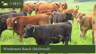 Information Windymere Ranch (McDowall) Update