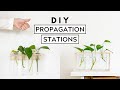 2 DIY Propagation Stations - Hanging & Standing 🌱