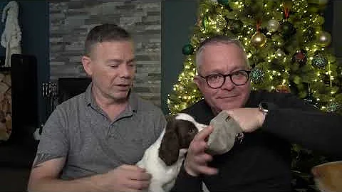 Too Cute To Resist! Meet Our New Puppy - CUTE DOG ...