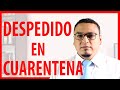 DESPIDO EN CUARENTENA, NO RENOVACIÓN DE CONTRATOS ES DESPIDO