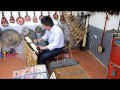 Vietnamese trad Steel guitar