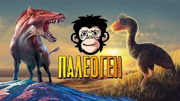 Животные Палеогена. Мегалодон, Титанобоа и другие удивительные животные Палеогенового периода.