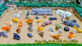 30 Jungle Animals Adventure! Fun Learning with Kidiez World TV | Educational Video for Kids