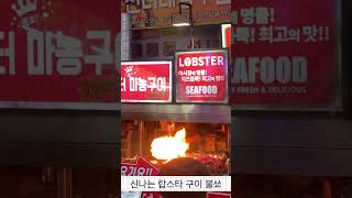 제주 동문시장 야시장의 불붙는 랍스타