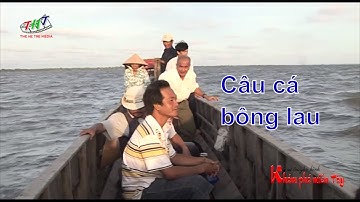 Câu cá bông lau ở Cù Lao Dung | Khám Phá Miền Tây