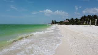 Playa Celestum, Yucatan, Mexico 2019