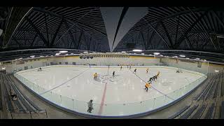 AHA Summer League 2026 (Becks vs Guinness) Livebarn VOD