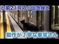 台風21号の小田急線と動作が丁寧な女性車掌さん