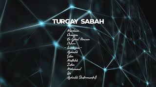 Turgay Sabah - İçindeydim  Resimi