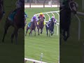 TITLE ROLE Wins the G1 Belmont Derby - just!