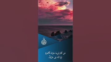 تلاوة مباركة من سورة الشورى || بصوت القارئ : عبدالعزيز المخيمر || ﴿ اللَّهُ لَطِيفٌ بِعِبَادِهِ ﴾