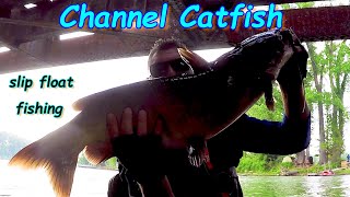 Slip Bobber Catfish on Liver Sacks & Kool-aide Chicken