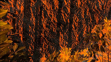 Let´s Play Stranded Deep #014 - Gehirnorgasmus (Alpha 0.02.H1)