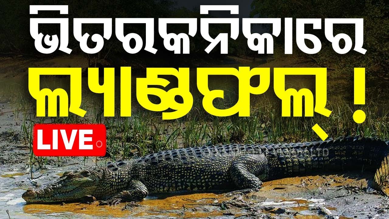LIVE | ପାରାଦୀପ-ଧାମରା ମଧ୍ୟରେ ଲ୍ୟାଣ୍ଡଫଲ୍ | Cyclone Dana | Odisha