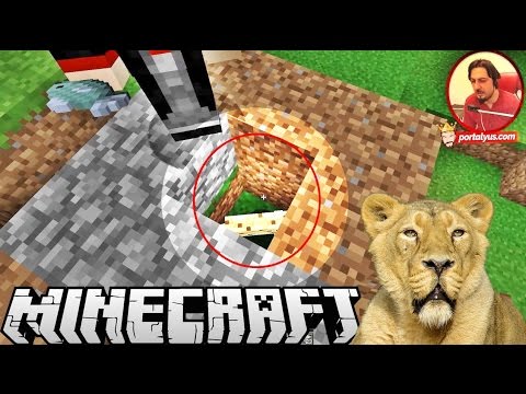 Kedi Yakalamaca | Minecraft Türkçe Vahşi Ada | Bölüm 3