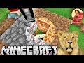 Kedi Yakalamaca | Minecraft Türkçe Vahşi Ada | Bölüm 3