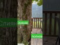 Человек и Природа одно целое💞