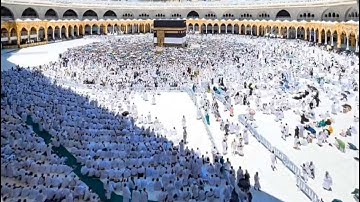 سورة القلم بصوت الشيخ إبراهيم محمد