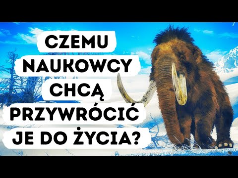 Wideo: Gleby wiecznie zamarznięte: obszary dystrybucji, temperatura, cechy rozwojowe