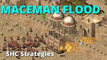THE MACEMAN FLOOD, SHC Strategies