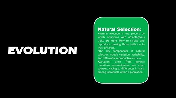 How to Create a Stunning Shape Open Animation in PowerPoint