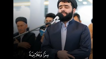 أَلَمْ تَرَ أَنَّ اللَّهَ أَنزلَ مِنَ السَّمَاءِ مَاءً. القارئ الکردي (بیشوا قادر) في سورة فاطر.