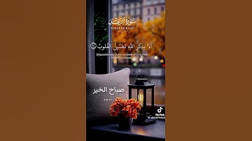 #القرآن_الكريم سورة الرعد
