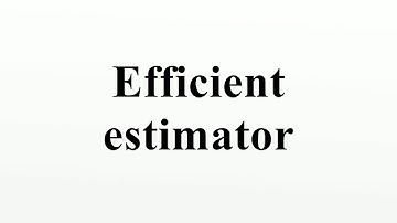Efficient estimator