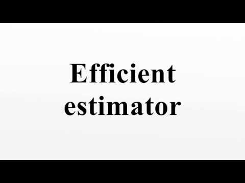 Efficient estimator