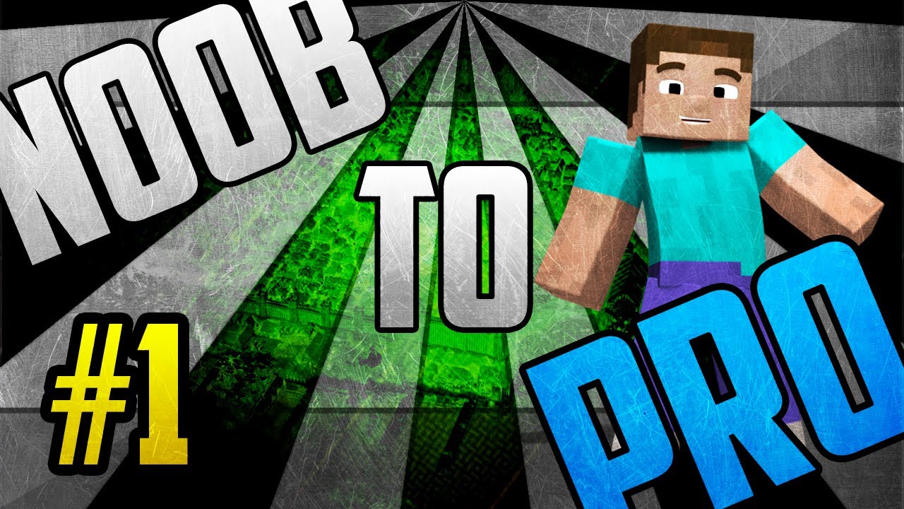 MineCraft: NOOB To Pro | Episode 1 :: Exploration and 1st