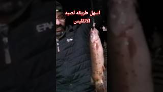 اسهل طريقه لصيد الرعاد الكهربائي تعبان البحر fishing fish صيد_السمك صيد_البياض