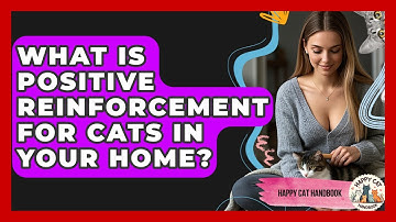 What Is Positive Reinforcement For Cats In Your Home? - Happy Cat Handbook