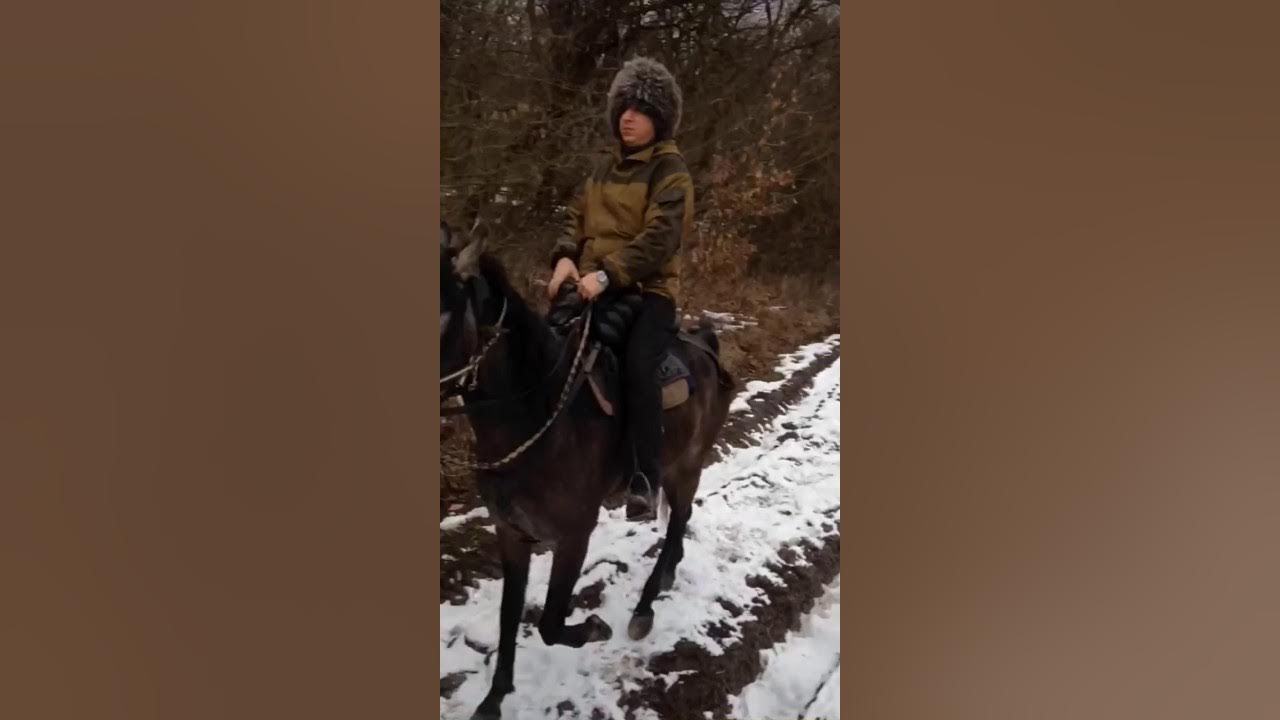 Дмитрий Слесаренко Адыгея конные прогулки
