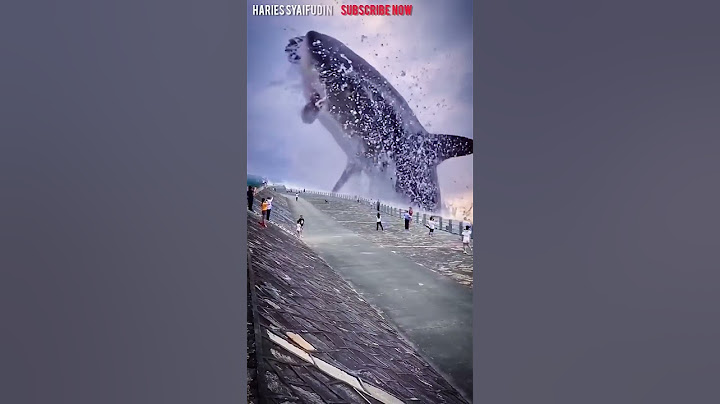 IKAN HIU TERBESAR DI DUNIA MELOMPAT - SHORT