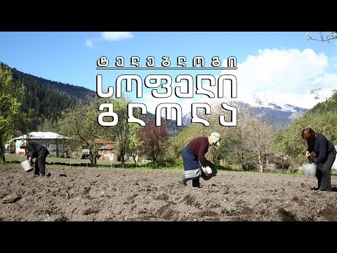 ტელებლოგი - სოფელი გლოლა