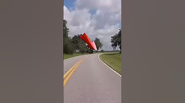 They sent a dead Armadillo after me!