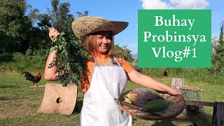 Buhay Probinsya vlog 1