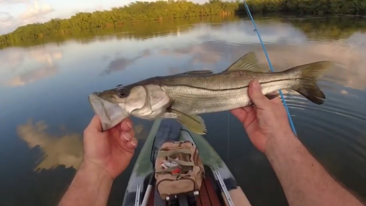 Kayak Fishing Everglades National Park. YouTube