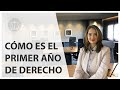 ⭐Cómo es el PRIMER AÑO de DERECHO