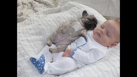 Guild Progression Intro Version 1