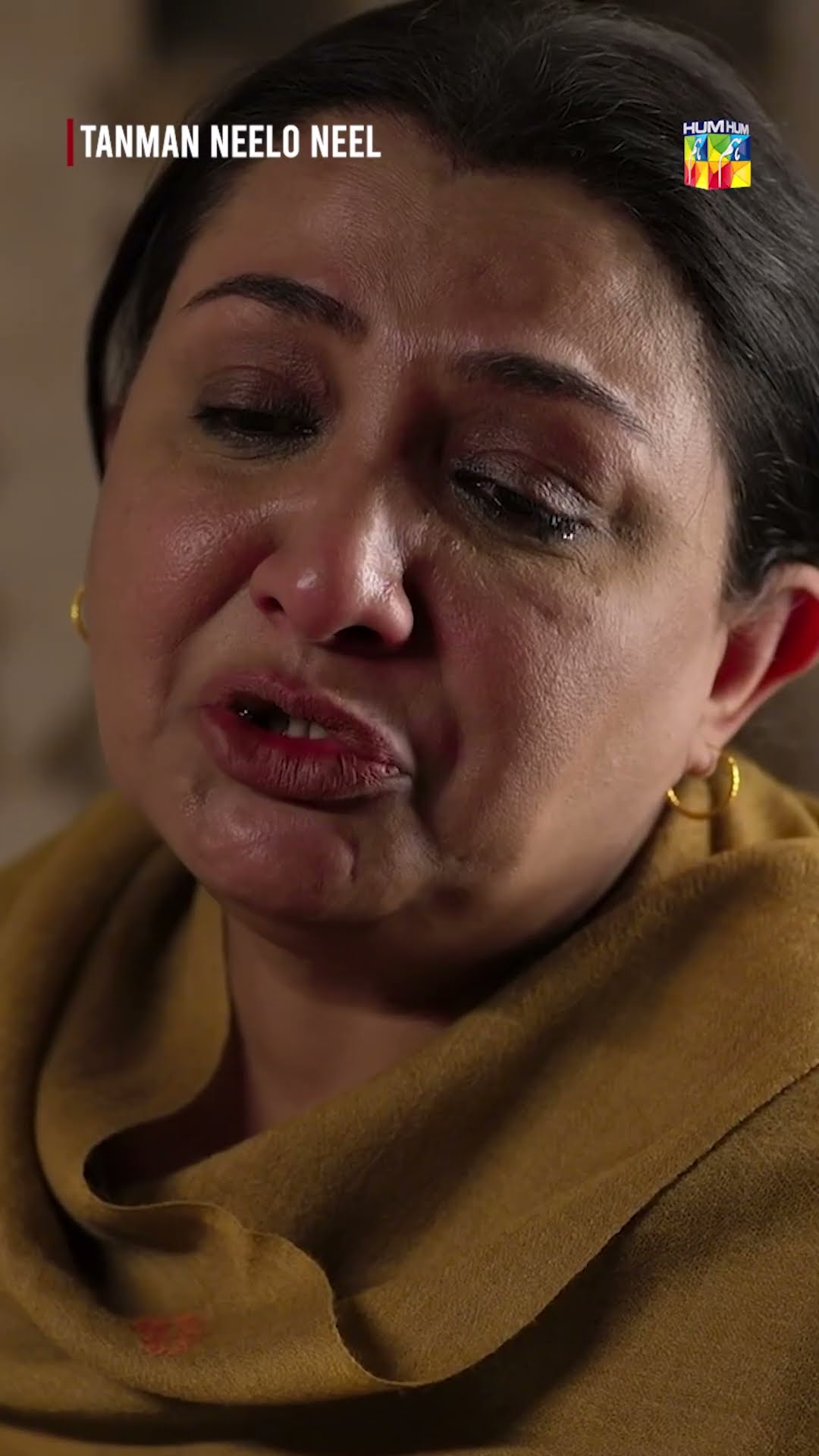 Gunnah Tumne Nahi..Mein Kiya Hai...!! #shorts #seharkhan #shujaasad #tanmanneeloneel #humtv