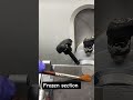 Frozen Section Cutting Step by Step | Cryostat Technique in Histopathology #pathology #labwork